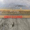 Thép tấm C45 dày 75mm